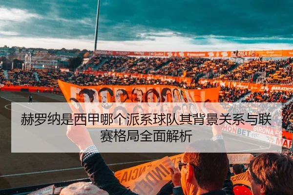 赫罗纳是西甲哪个派系球队其背景关系与联赛格局全面解析