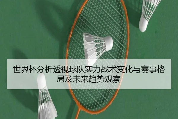世界杯分析透视球队实力战术变化与赛事格局及未来趋势观察