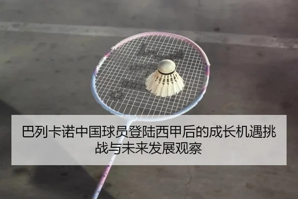 ba-lie-ka-nuo-zhong-guo-qiu-yuan-deng-lu-xi-jia-hou-de-cheng-zhang-ji-yu-tiao-zhan-yu-wei-lai-fa-zhan-guan-cha-2-463.jpg